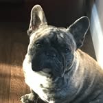 Ethan Shekhter - @ethanshekhter - Instagram