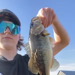 Ethan Sheldon - @ethsnsheldon - Instagram