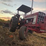 Ethan Sheldon - @ethansheldon73 - Instagram