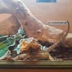 Ethan sheldon - @ethan_andrew_sheldon - Instagram