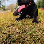 Ethan Sheppard - @sheppardethan - Instagram