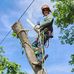 Ethan Shipp - Facebook