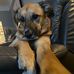 Ethan Shipton - Facebook
