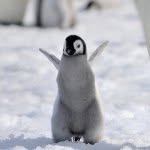 Ethan Shoup 😊🐧🐧 - @shouperstar_projects - Instagram