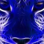 ethanboy443 - @ethanshoupe - Instagram