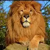 siegfriedethann - @siegfriedethann - TikTok