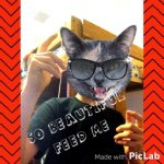 ethan:) - @ethan.simons - Instagram