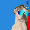 ethan_sink$1 - @user861384345 - TikTok