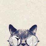 Ethan Sixkiller - @ethan_six - Instagram
