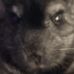 Ethan Sixsmith - Facebook
