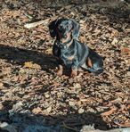 Ethan Small - Facebook