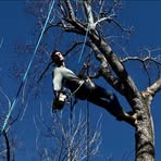 Ethan Southard - Facebook