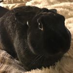Ethan Spangler - @spanglamos25 - Instagram