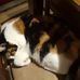 Ethan Spangler - Facebook