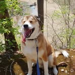 Ethan Sparkman - Facebook