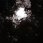 Ethan Sparkman - Facebook