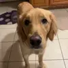 ethan.specht - @ethan.specht - TikTok