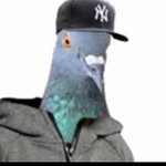 Ethan Speck - @ethanspeck2 - Instagram