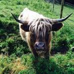 Ethan Spillane - Facebook
