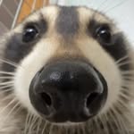 ethandavidspinner - @ethandavidspinner - Instagram