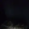 ethanspradlin806 - @ethanspradlin806 - TikTok