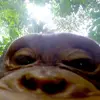 Ethan Squires - @ethansquires27 - TikTok
