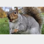 Ethan Squires😎 - @squirrle - Instagram