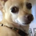 Ethan Steedman - @ethansteedman - Instagram