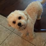 Ethan Sternberg - @ethansternberg - Instagram