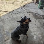 Ethan Stites  - Facebook