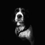 Ethan Stock - Facebook