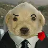 Ethan - @ethanstowell585 - TikTok