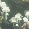 `@#O@$)(@()$( - @ethanstraderr - TikTok