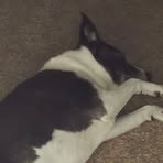 Ethan Strohm - Facebook