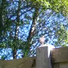 ethanstrohm23 - @ethanstrohm23 - TikTok