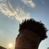 Ethan Strong - @ethan.strong00 - TikTok