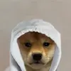 EthanSauber - @ethansauber - TikTok