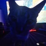 Ethan Sumner - @ethann.sumn07 - Instagram