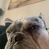 Ethan Sunderland831 - @ethan_22334455 - TikTok