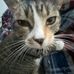 Ethan Sutherland - Facebook