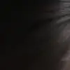 ethansutherland - @ethansuther1and - TikTok
