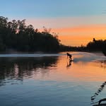Ethan Swan - @ethanswan80 - Instagram