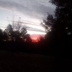 ethan lucus tackett - @ethanlucustacket - Instagram