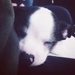 Ethan Tackett - @tackett7517 - Instagram