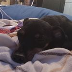 ETHAN Tackett - @eth.an6969420 - Instagram