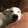 Ethan - @ethantaub - TikTok