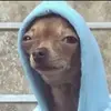 ethaneicher790 - @ethan_yea - TikTok