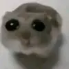 ethanten - @uwuish010 - TikTok