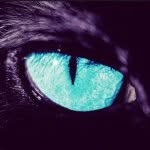 Ethan Thames - @sms_panthers42 - Instagram
