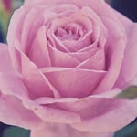 Ethan Theissen - @ethantheissenphotography - Instagram